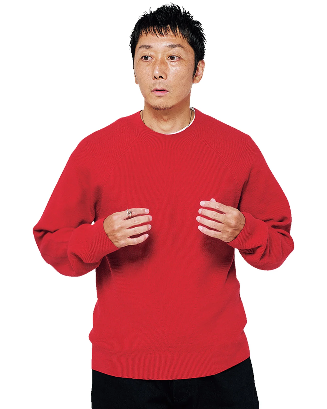 ヴィヴィッドな色が新鮮