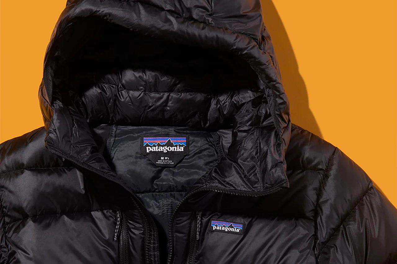 【パタゴニア】ダウンセーター、スナップTなど定番から新定番のマイクロ・パフ・ジャケットまで。防寒対策におすすめの8選