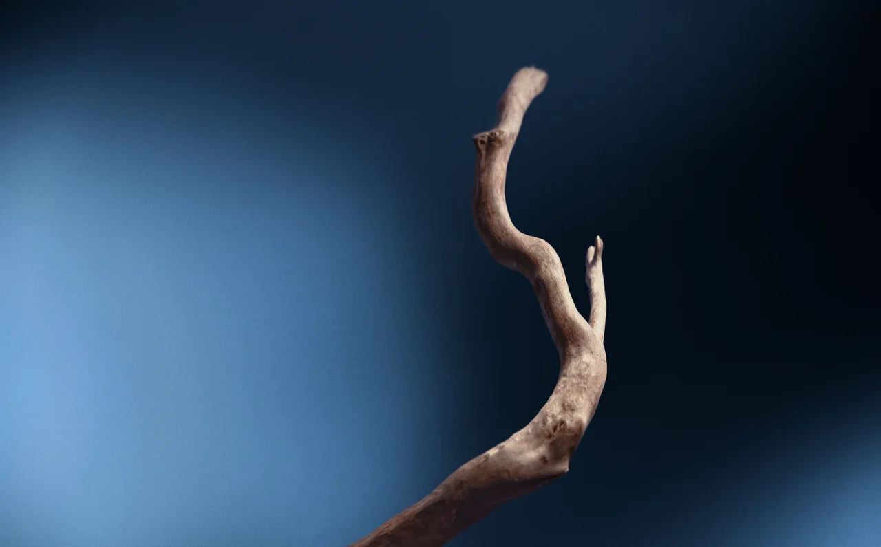 【イソップ】大人の夜のスキンケアに。次世の画像_15