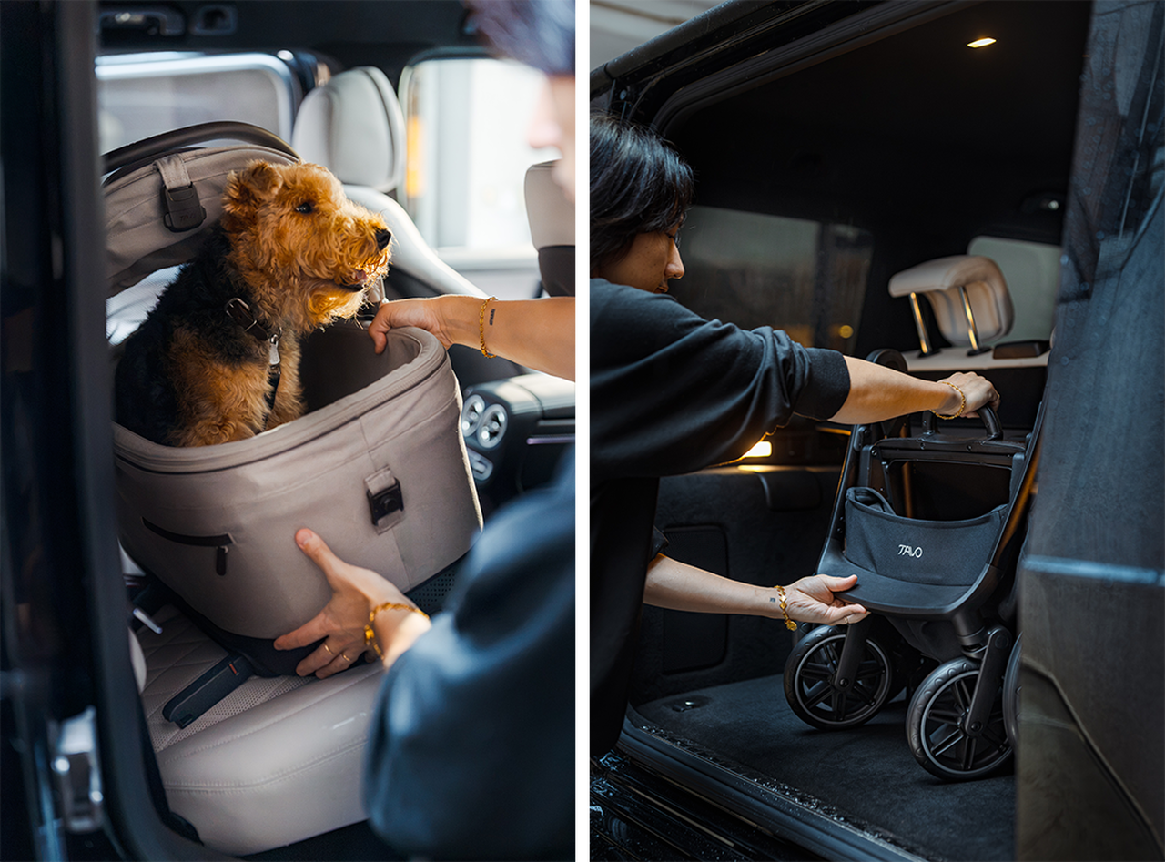 【愛犬との日常を、冒険に】「TAVO」での画像_3