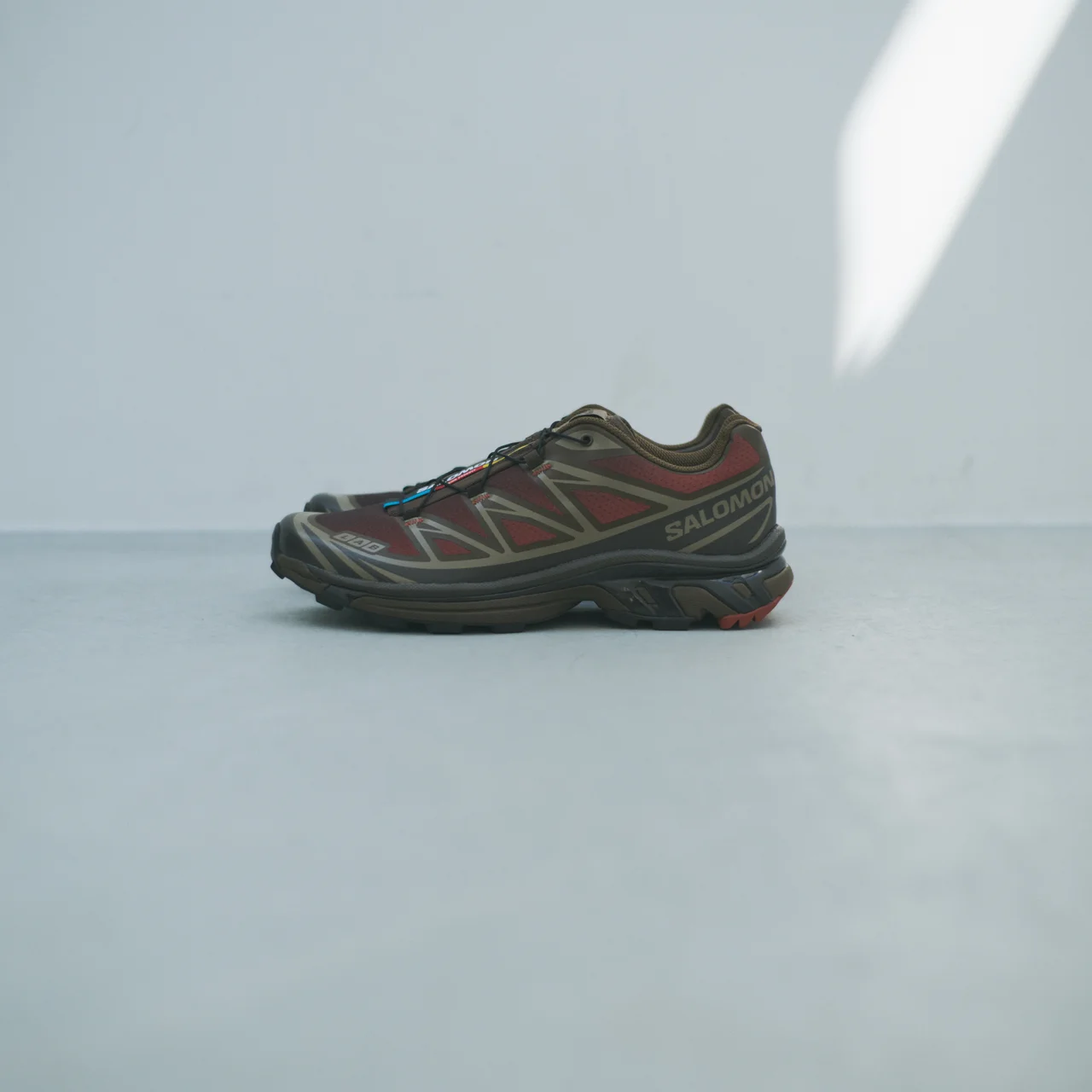 サロモンの画像_2