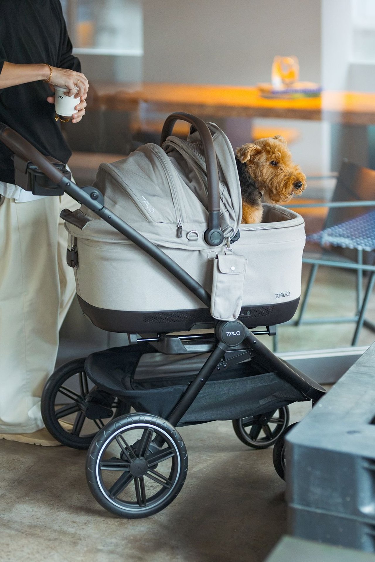 【愛犬との日常を、冒険に】「TAVO」での画像_5