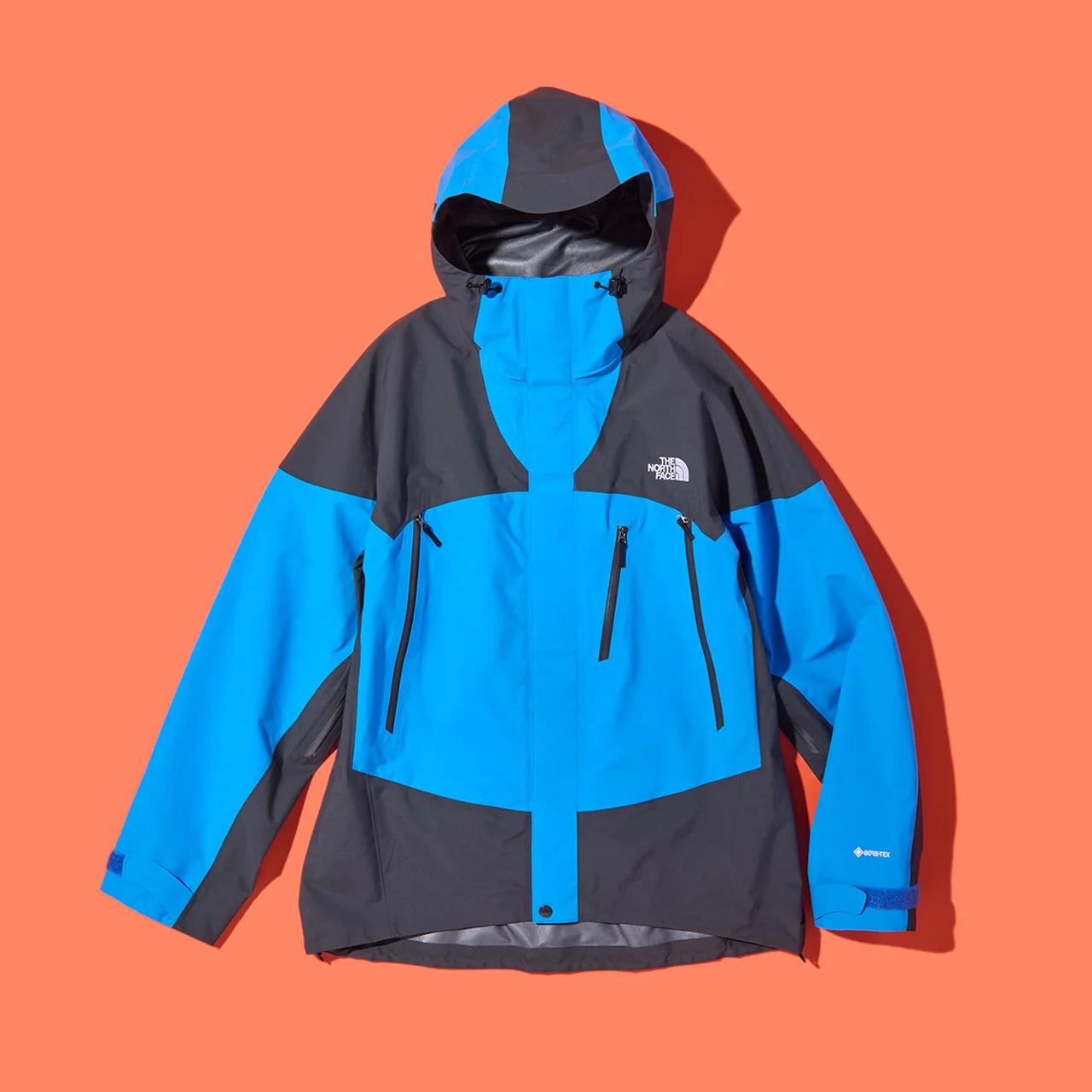 ザ・ノース・フェイスのゴアテックスパーカ、ウインターダンスジャケット
