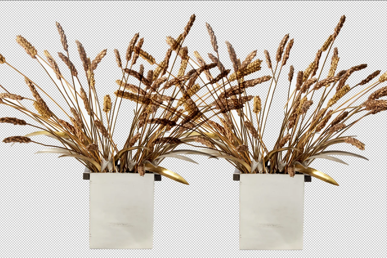 【シャネル】アメリカ人写真家ロー エスリの画像_4