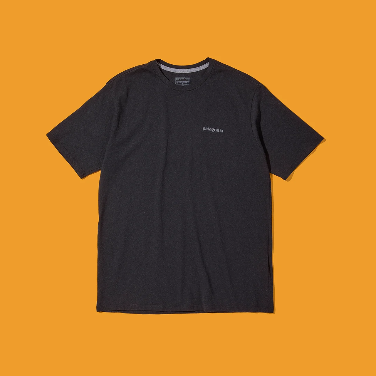 フライング・フィッシュ・ロゴのバックプリント入りのTシャツ