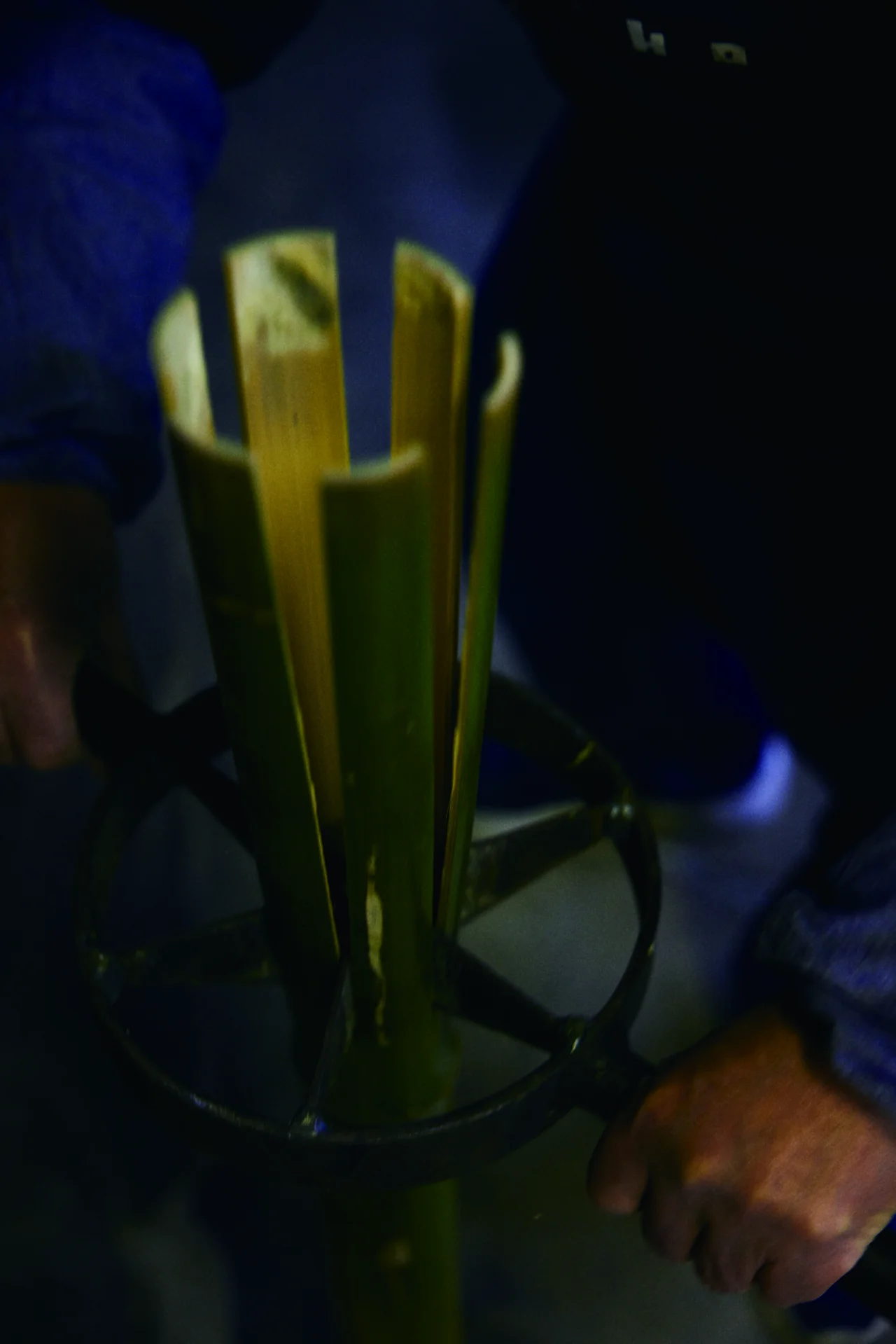 【ビームス】インテリアスタイリスト・作原の画像_7