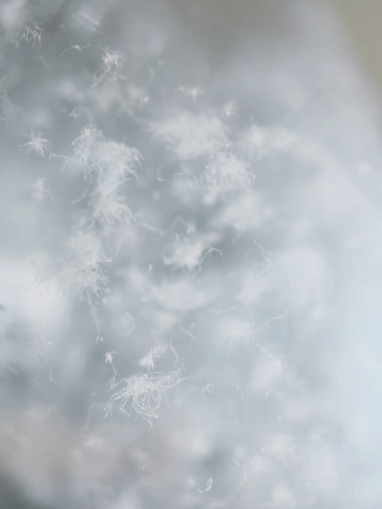 【大人が買うべきダウン】完売必至の「水沢の画像_28