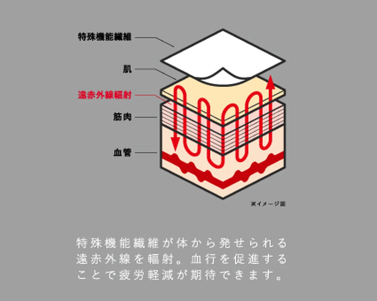 【チャンピオンの「スウェットじゃないほうの画像_3