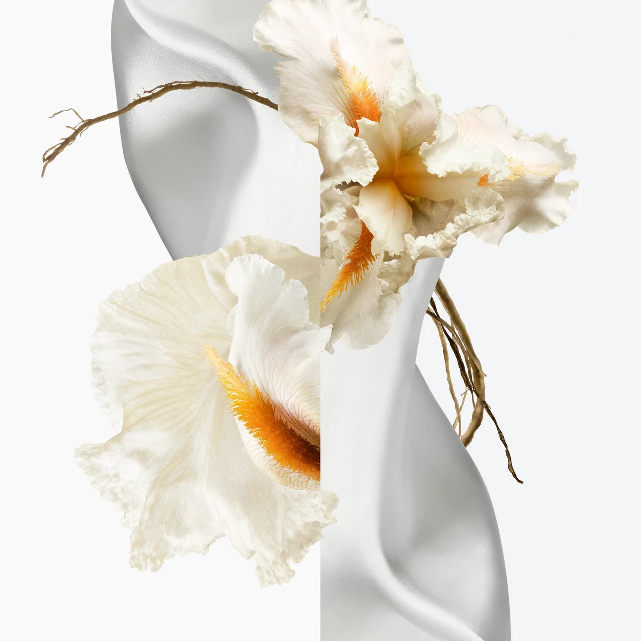 【エルメスのフレグランス】香りで描く“第の画像_3