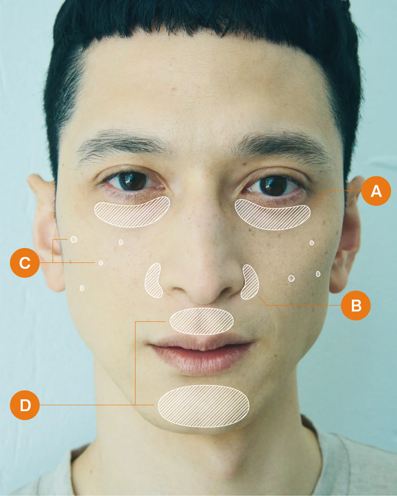 コンシーラー 塗る箇所