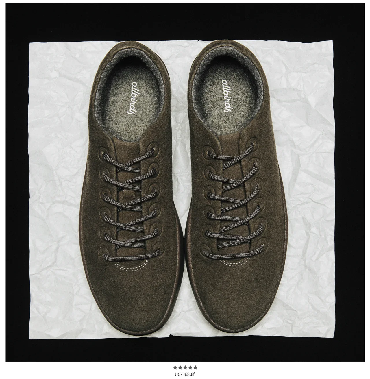 Allbirds|Cruiser Terralux