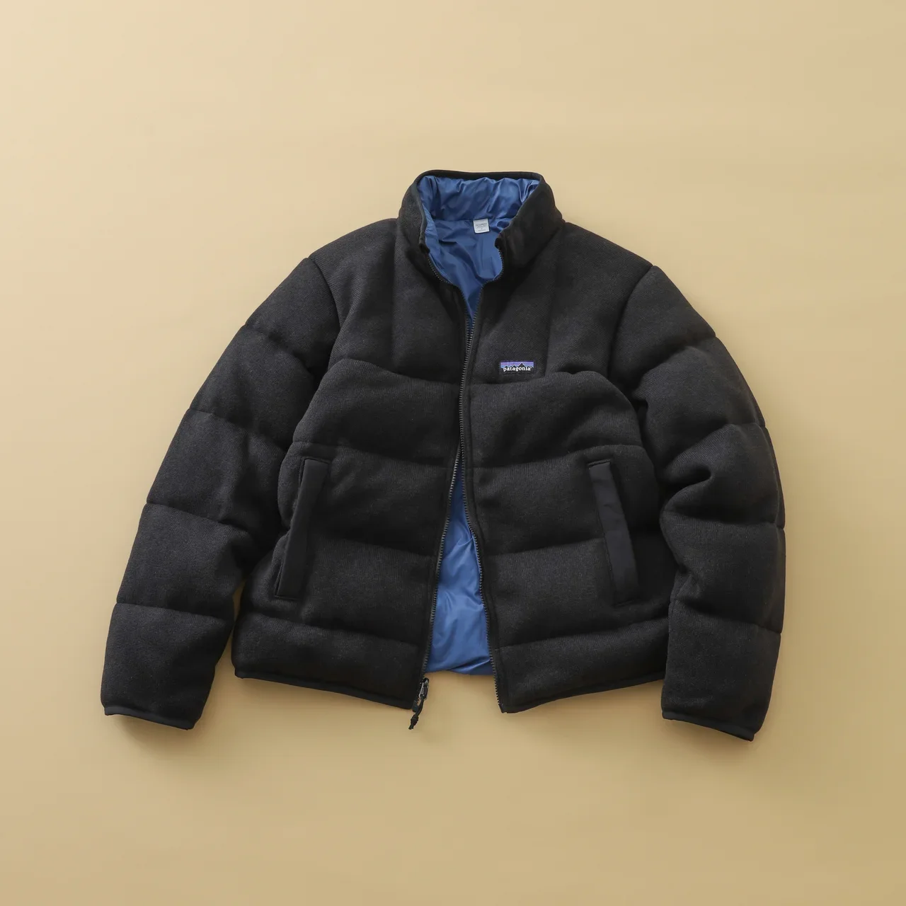 【パタゴニア】大人のダウン200｜リサイクル・ダウン100％の使えるリバーシブル仕様【patagonia】①