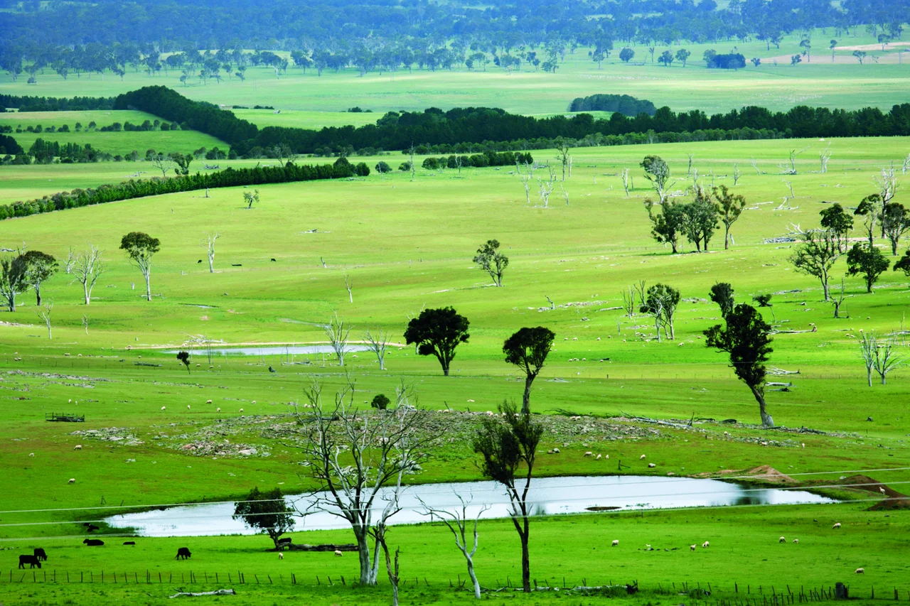 【ロロ・ピアーナ】世界最高峰のウールを称の画像_8