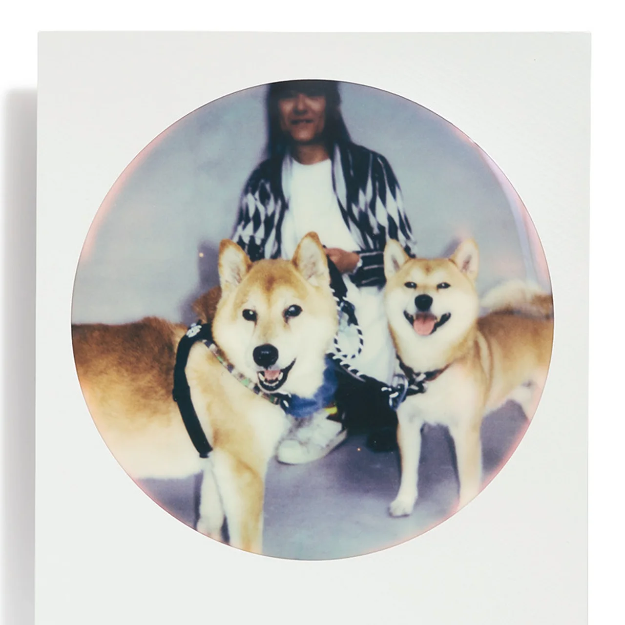 中村一義とゴン&ワン チェキ