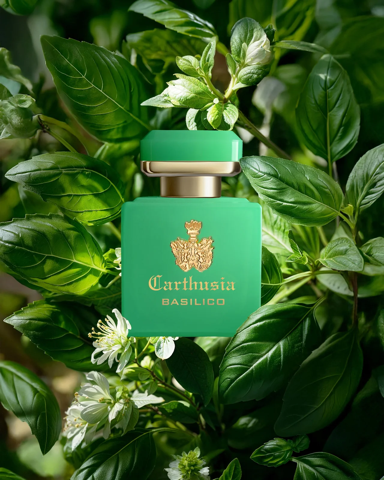 【大人のメンズ香水】地中海をまとう。カルの画像_2