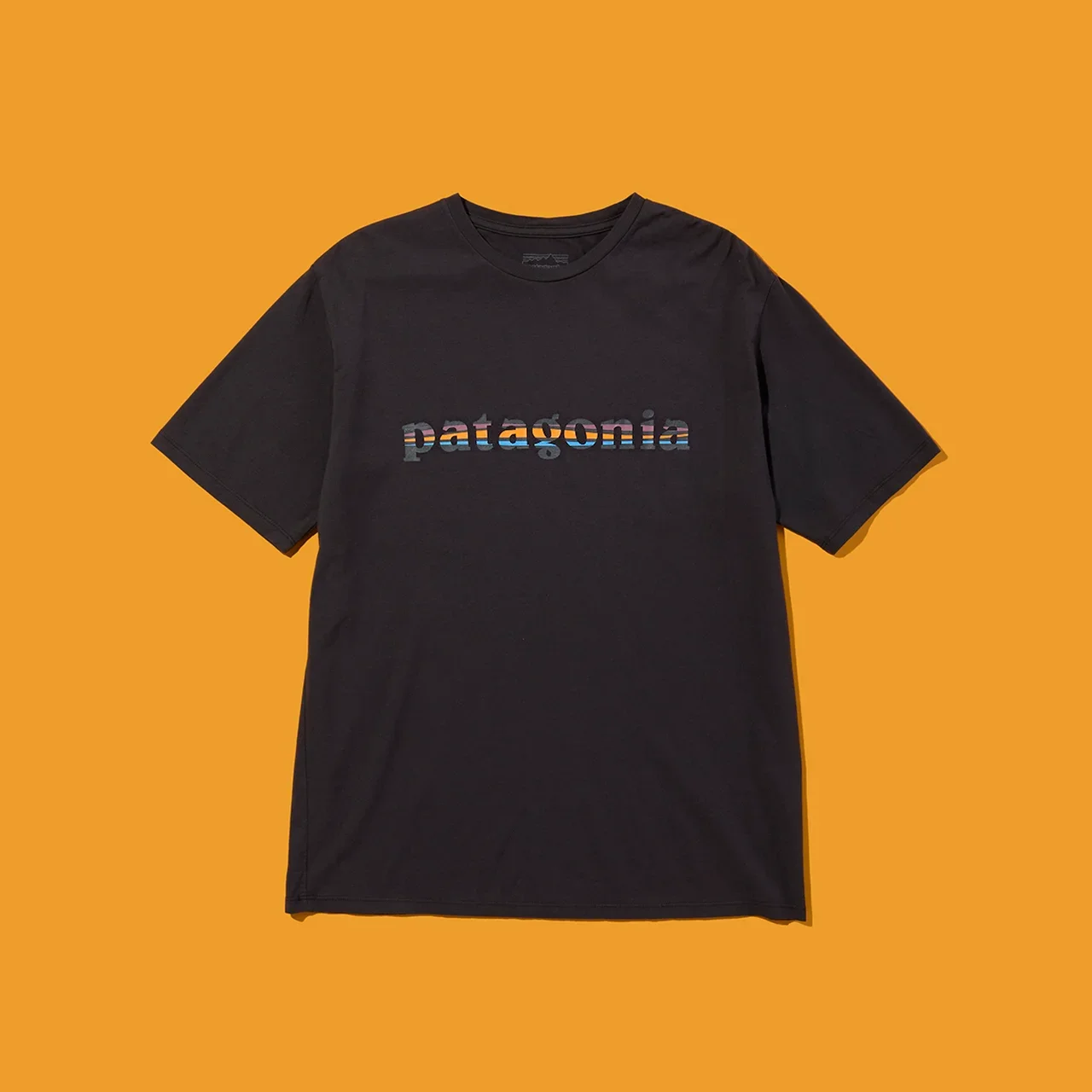 パタゴニア｜メンズ・'73 テキスト・ロゴ・オーガニック・Tシャツ
