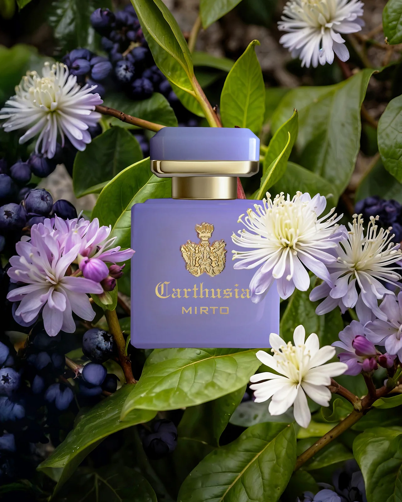 【大人のメンズ香水】地中海をまとう。カルの画像_4