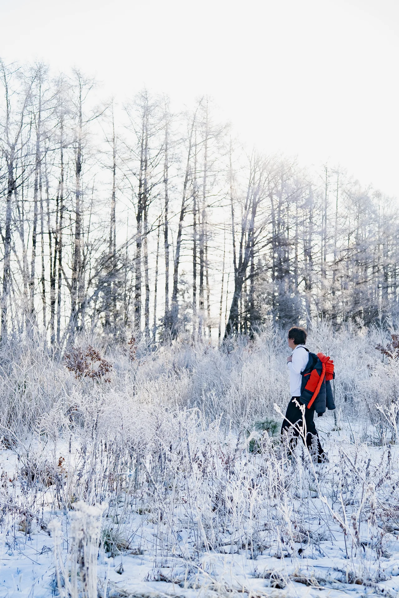 【Gallery】水沢ダウン、モンベル.の画像_35