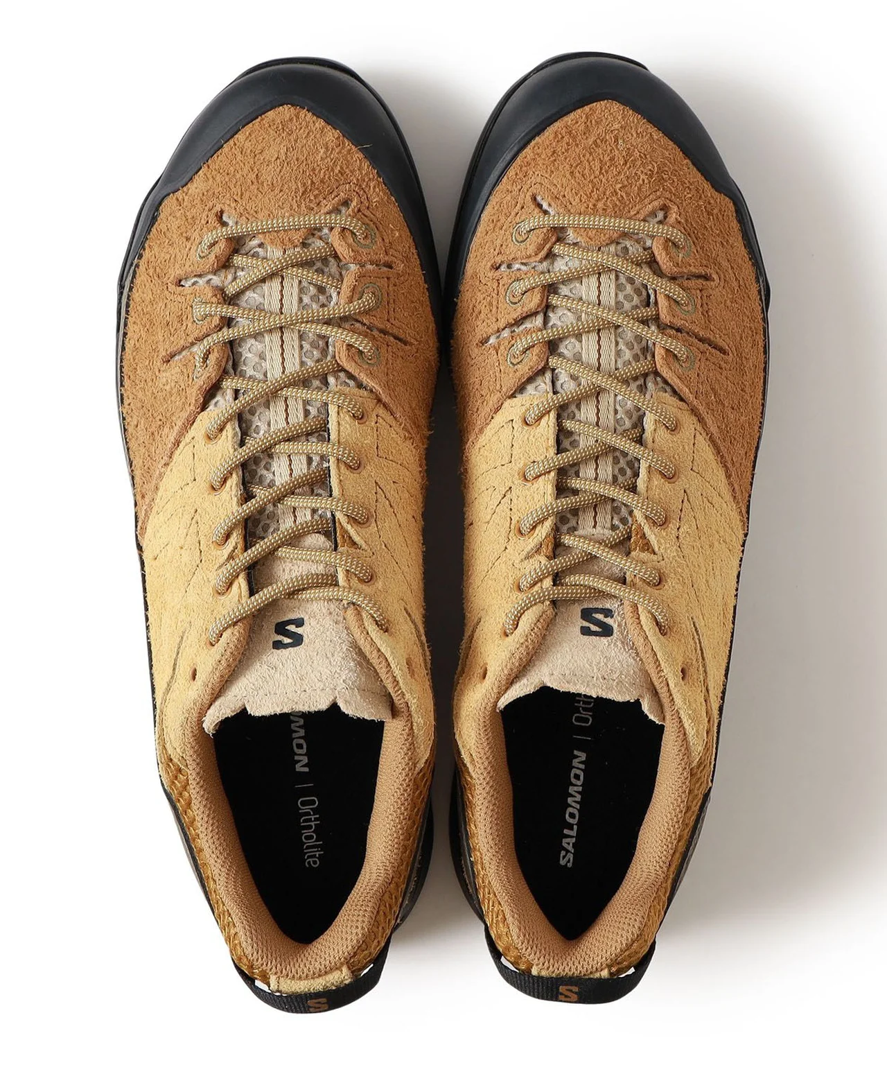 アーストーンを基調にしたBronze Brown / Wood Thrushの限定カラー