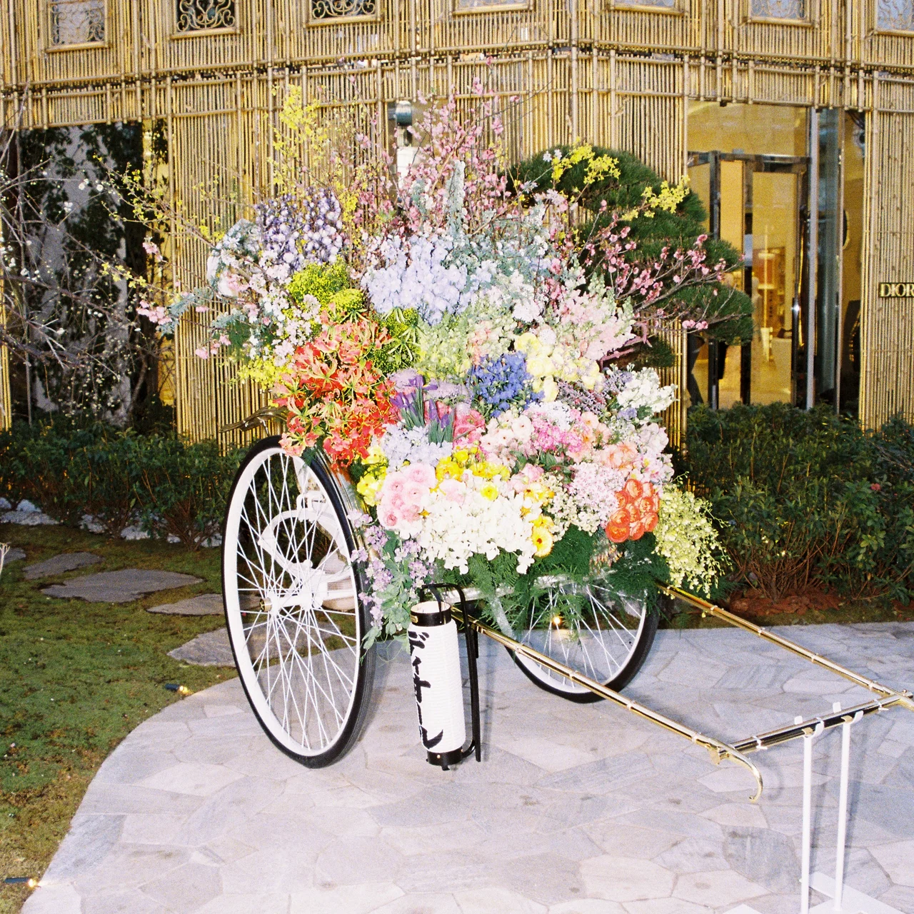 【ディオール】新木優子、横浜流星、吉沢亮の画像_32