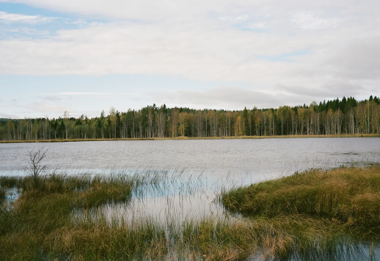 山野アンダーソン陽子と三部正博による展覧会「Longing for Grey」がVAGUE KOBEにて開催【1月19日まで】①