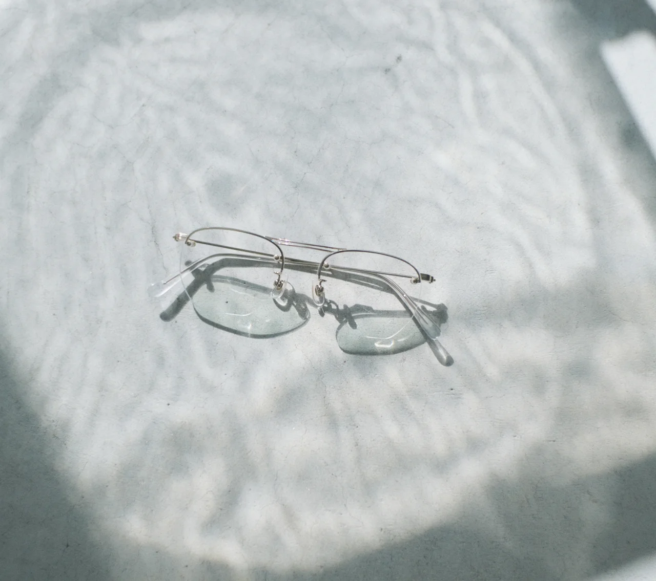 アヤメの画像_1