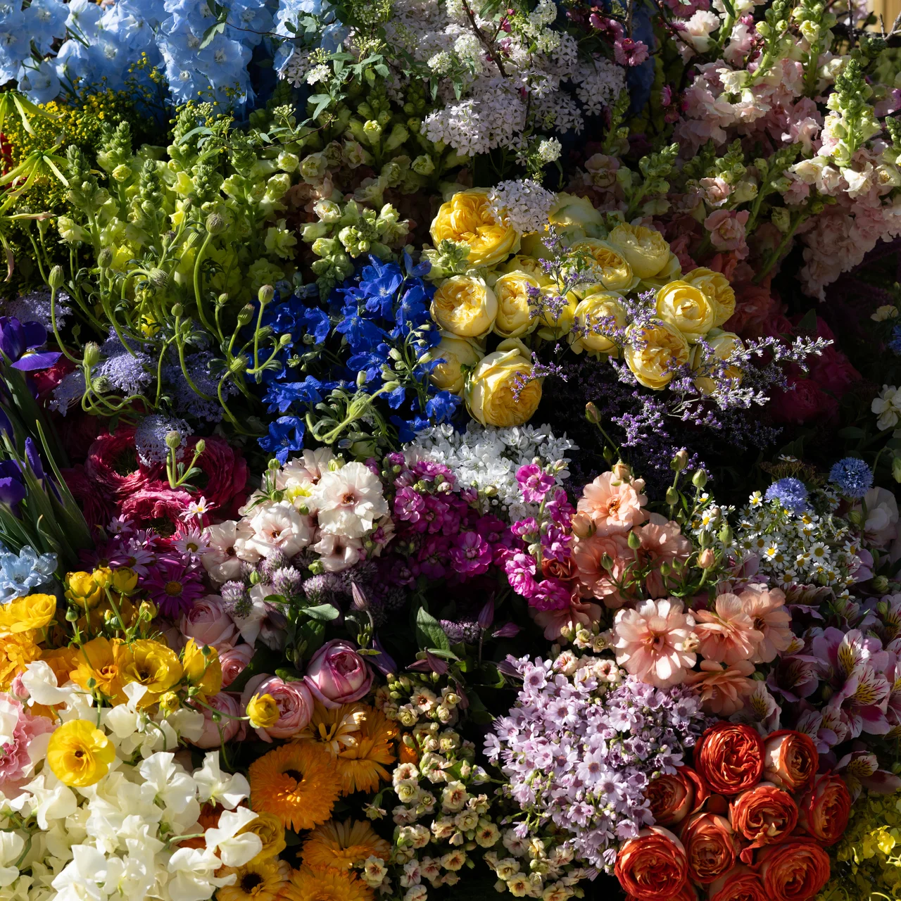 【ディオール】新木優子、横浜流星、吉沢亮の画像_22