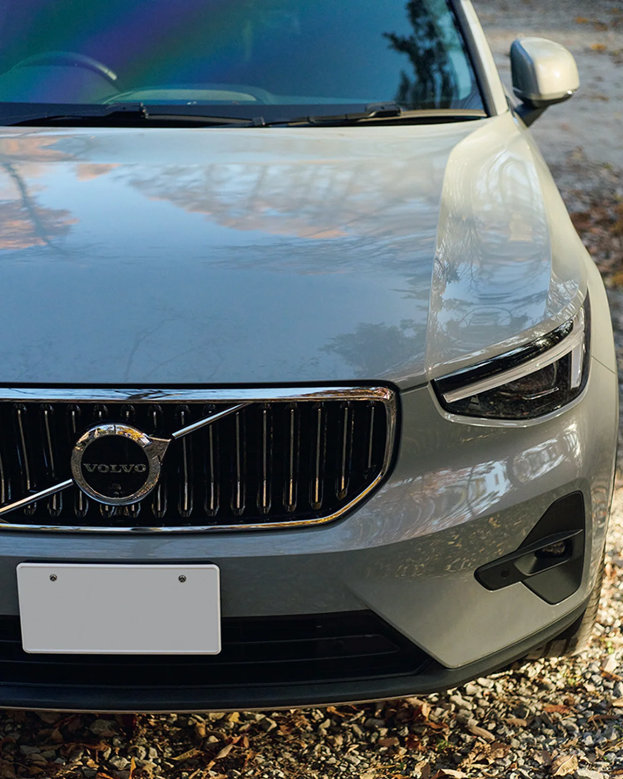 ヴェイパーグレーのボディ