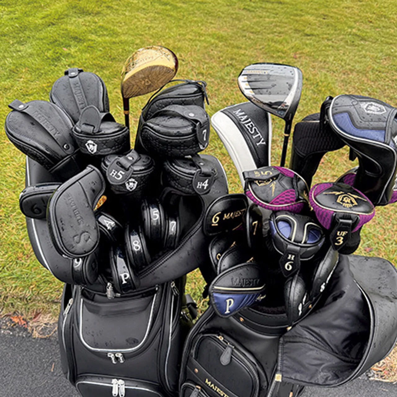 （右）MAJESTY ROYALE （左）MAJESTY SUBLIMEプロフィール画像