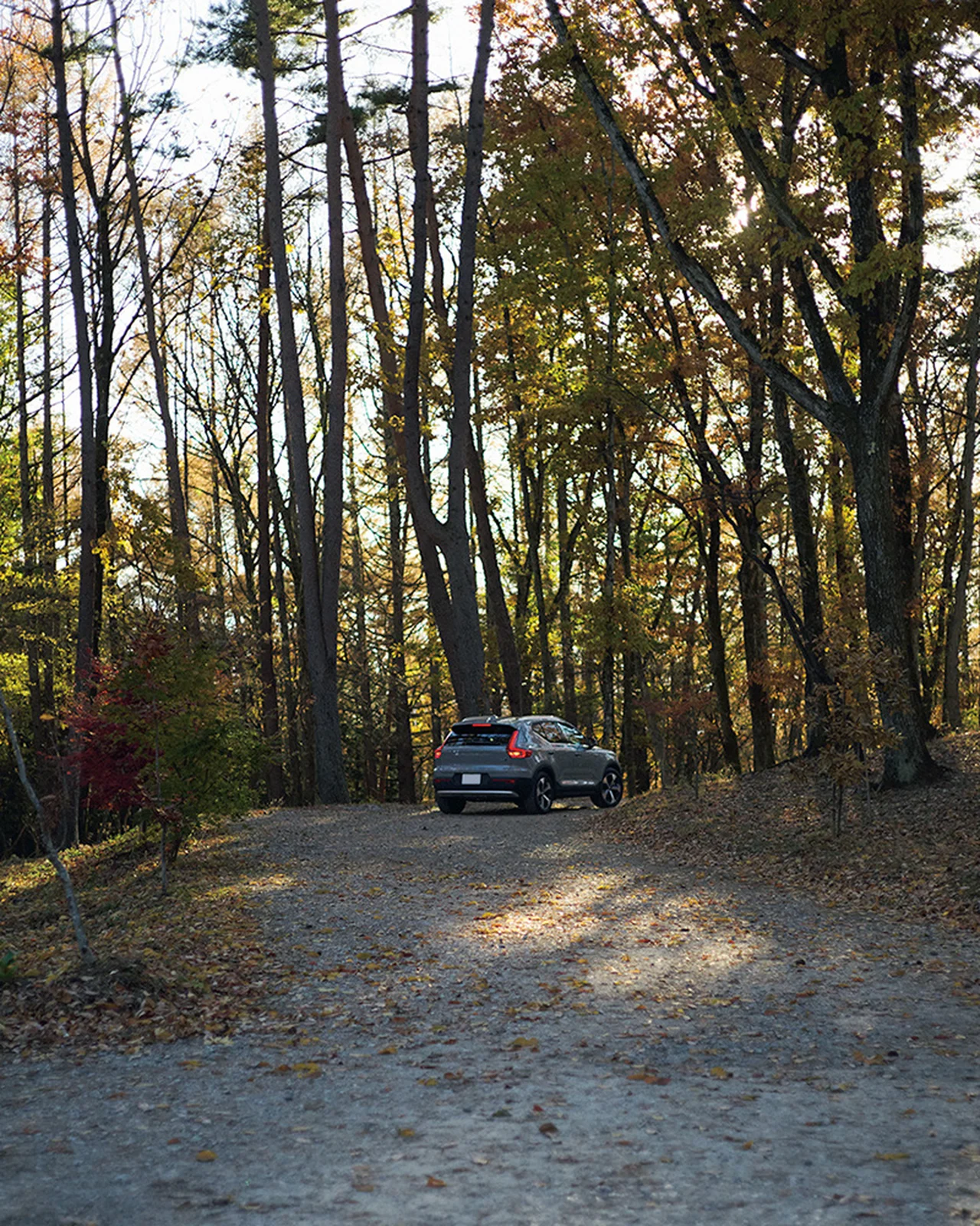 夕刻になると木漏れ日が差し込む