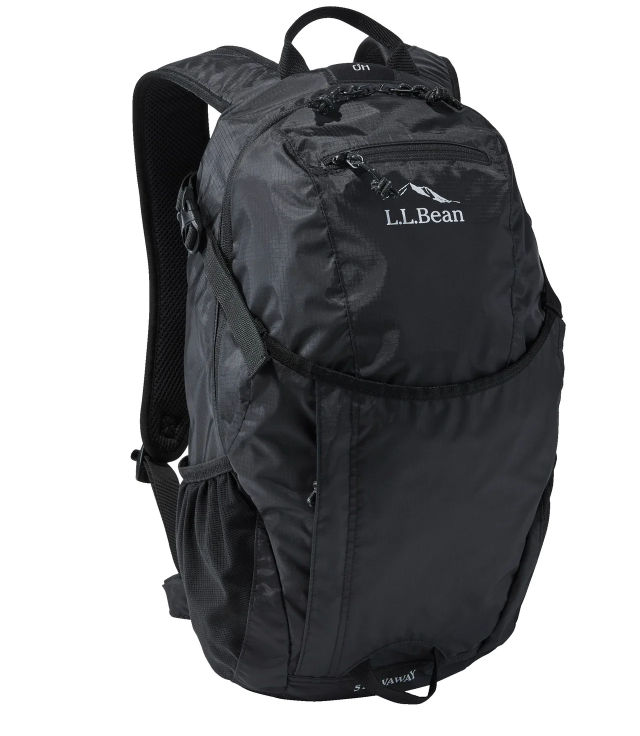 【大人のエル・エル・ビーン】最新黒リュッの画像_2