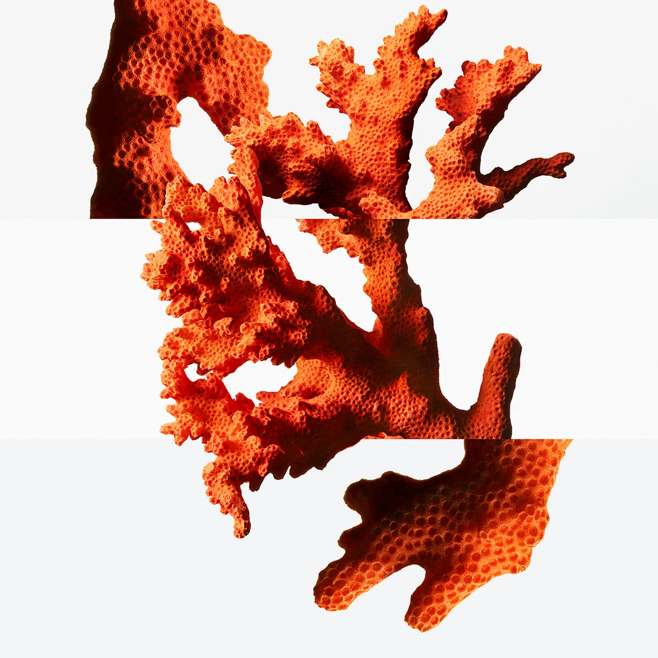 サンゴが彩る庭園や、空と海が溶け合う風景をイメージ