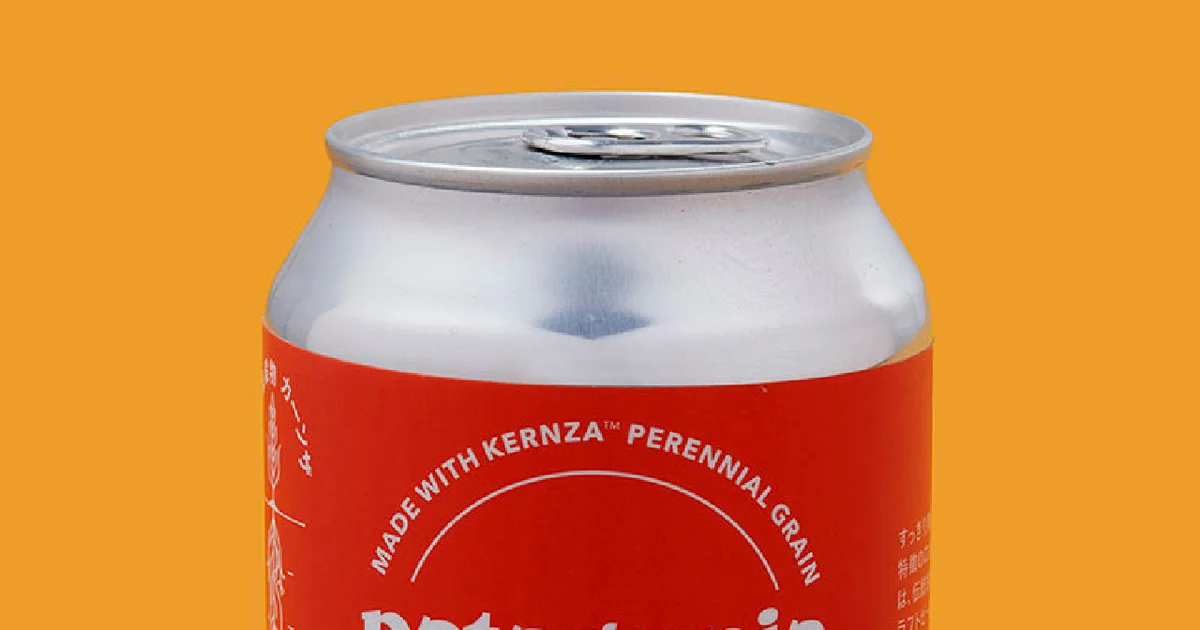 パタゴニアプロビジョンズ ビール 6缶セット　観賞用 パタゴニアプロビジョンズ ビール 6缶セット 観賞用 飲料・酒
