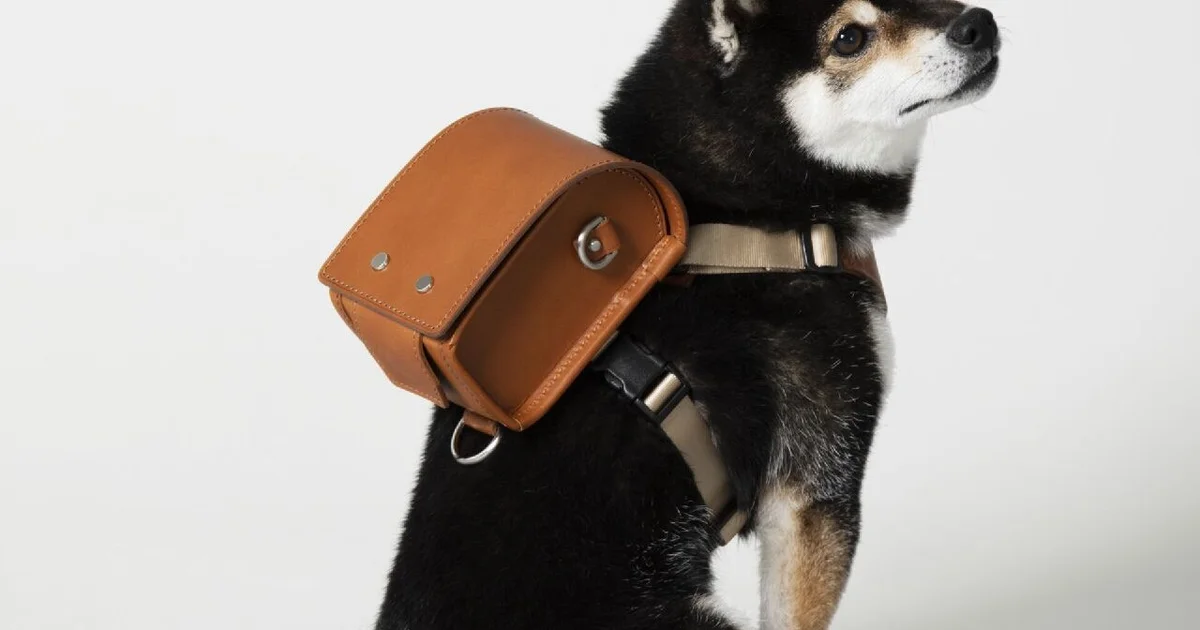 おしゃれ愛犬家のマストバイ】上質なヌメ革製。リード、キャリーバッグ