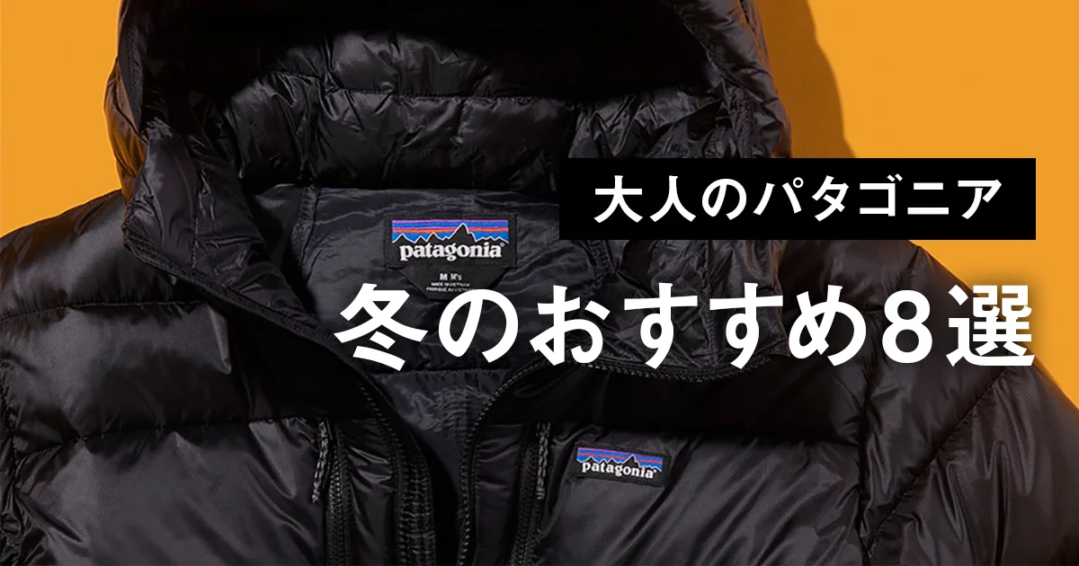 大人のパタゴニア】冬のおすすめ8選。究極の黒ダウンに新定番の薄軽