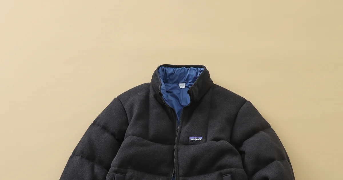 パタゴニア】大人のダウン200｜リサイクル・ダウン100％の使える