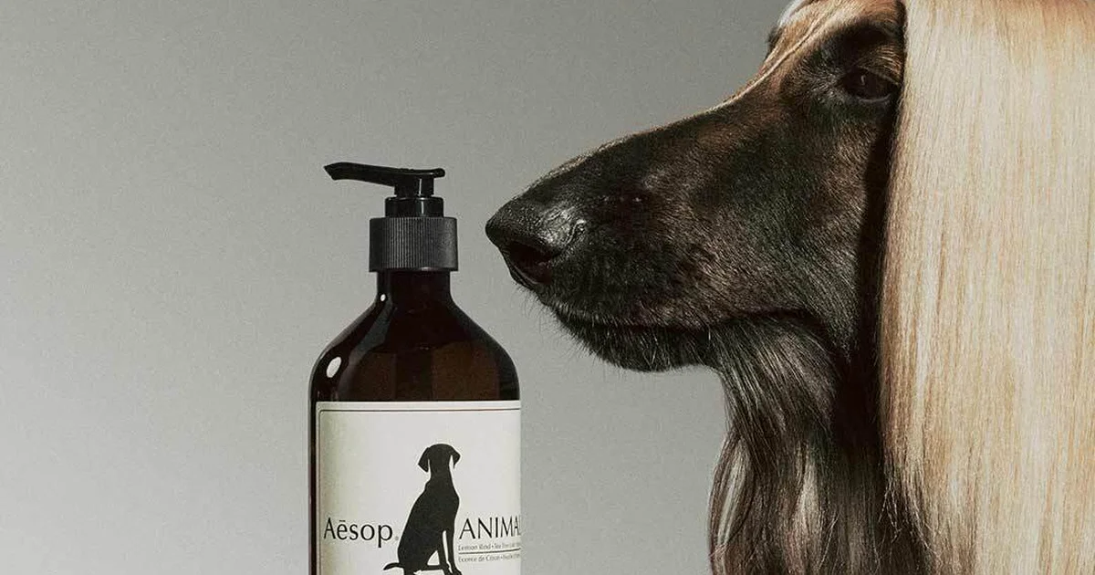 イソップ】愛犬家のための特別なイベントを開催。ペット用シャンプー 