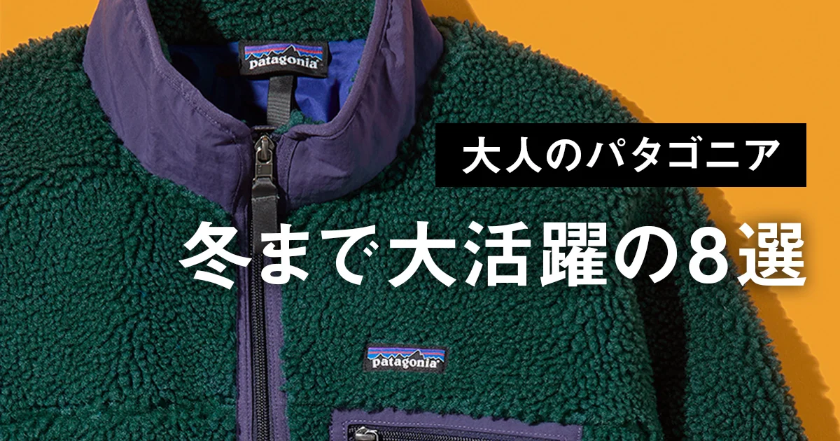 極美品 名作 PATAGONIA パタゴニア レトロX フリースベスト S(一般的な