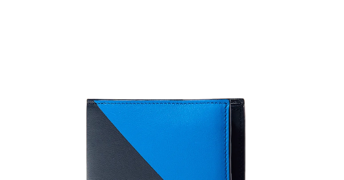 【本日22時までお値下げ中】LOEWE レザー ケース　ロエベ　財布 ロエベ】夏ボーナスで大人が買うべき「ブランド財布」BEST30｜ブルーの