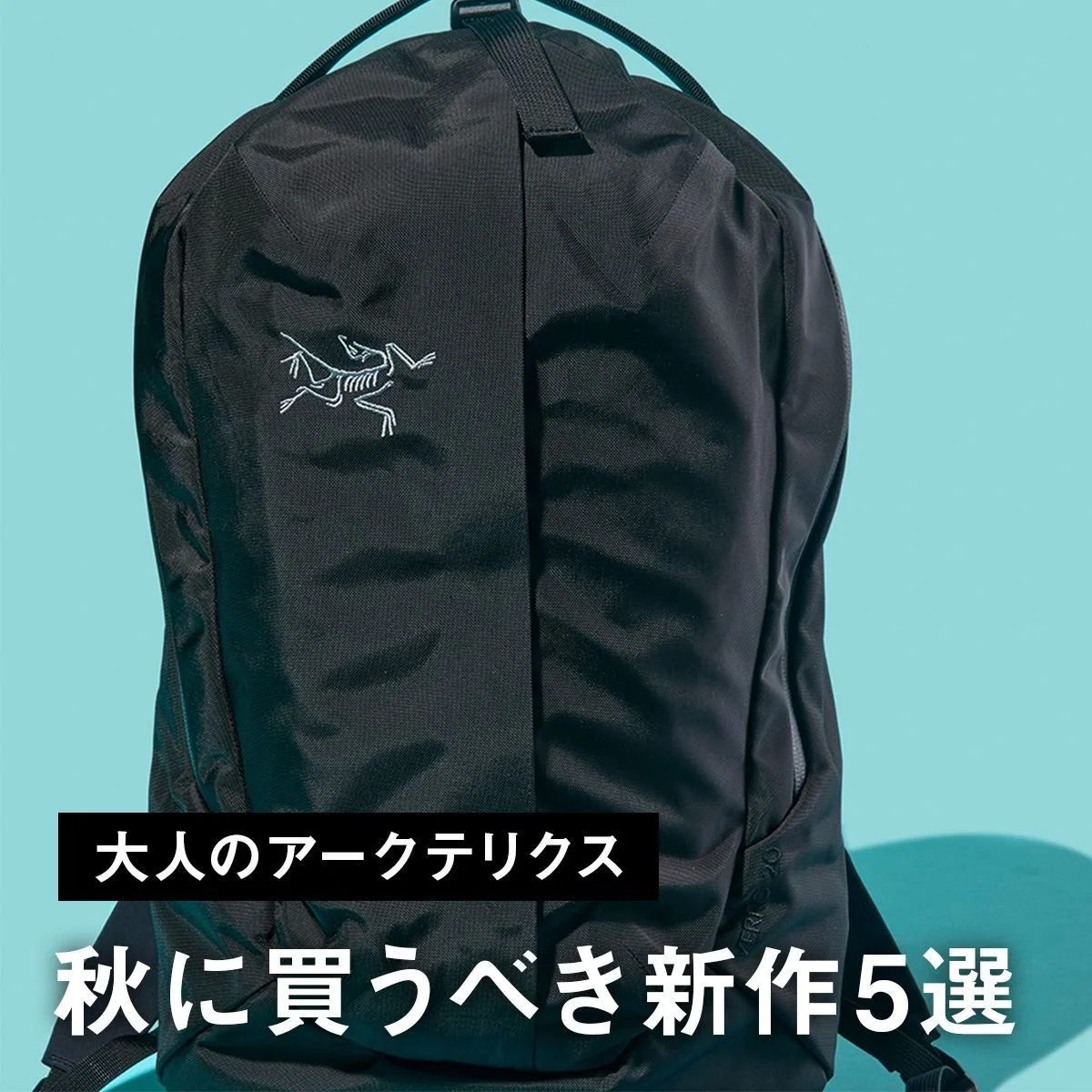 【大人のアークテリクス】秋に買うべき新作5選。定番ダウンをアップデート。タフなキャンバスパーカやパンツ、新型バックパックに注目
