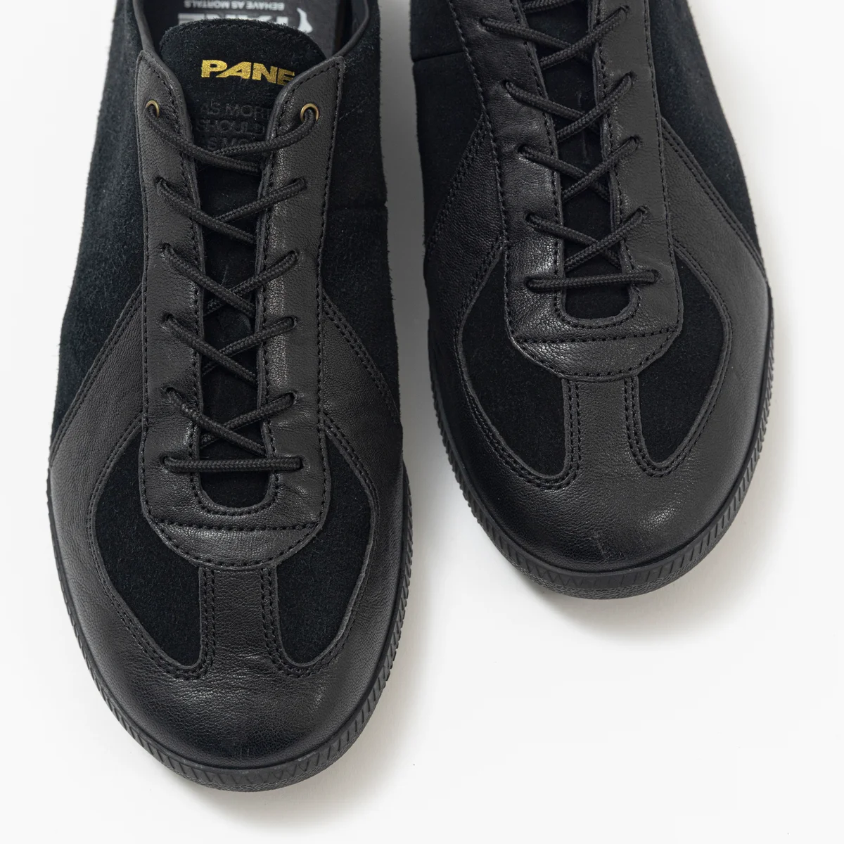 PANE｜Light Training Nogi