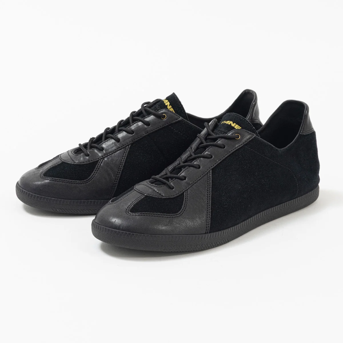 PANE｜Light Training Nogi