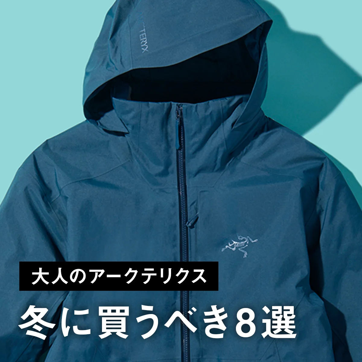 【大人のアークテリクス】冬に買うべき8選。中綿入りゴアテックスジャケットや大人気バッグ「グランヴィル」のミニショルダーまで