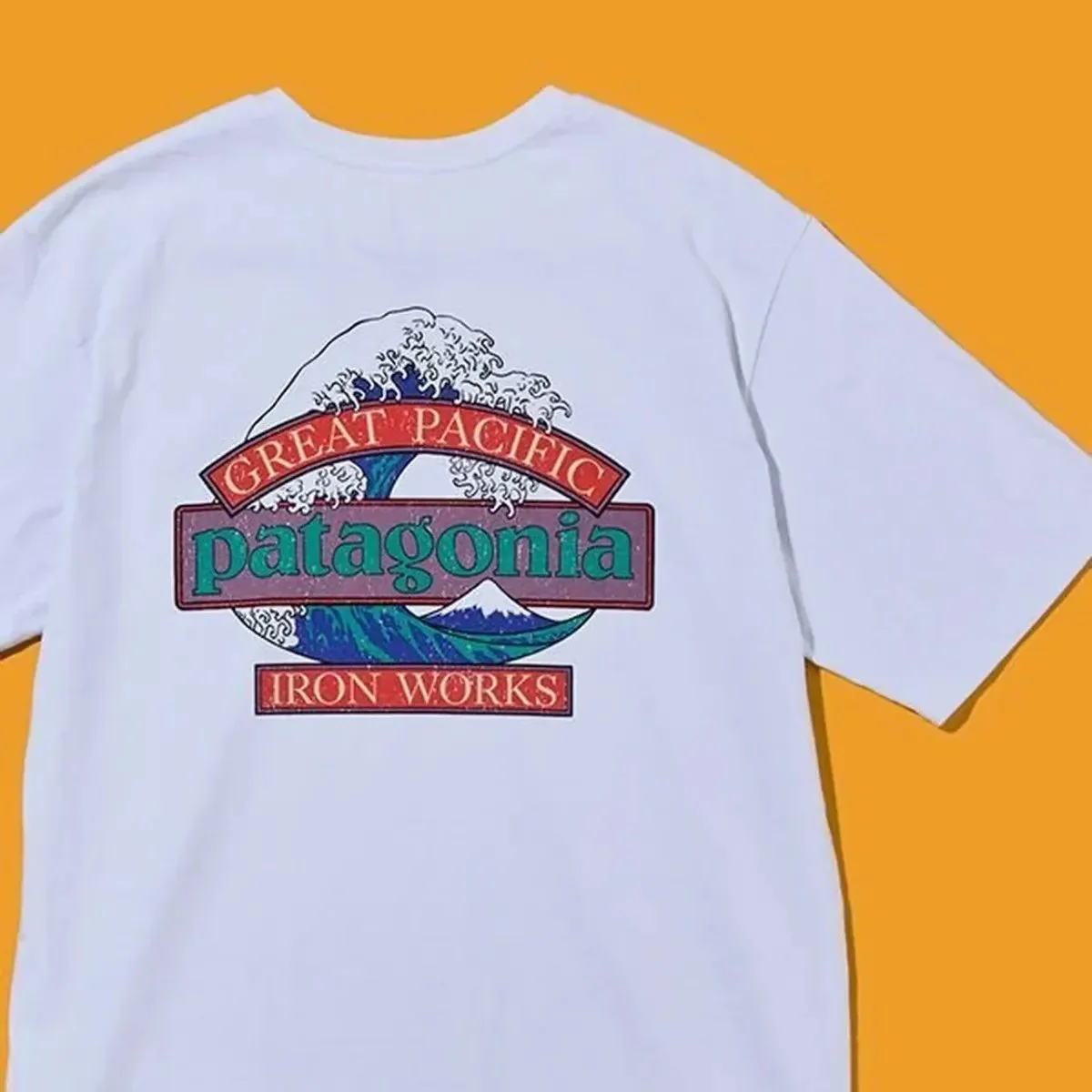 【大人のパタゴニア】涼感を誘うロゴグラフィックに注目。夏の「快適Tシャツ」5選