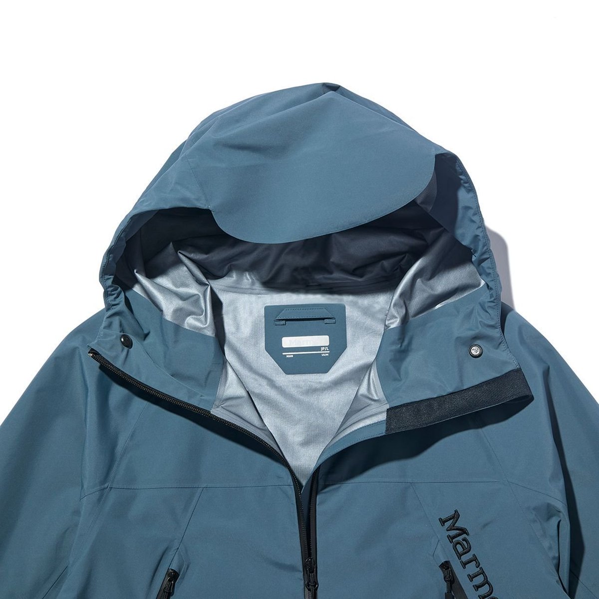 Marmot