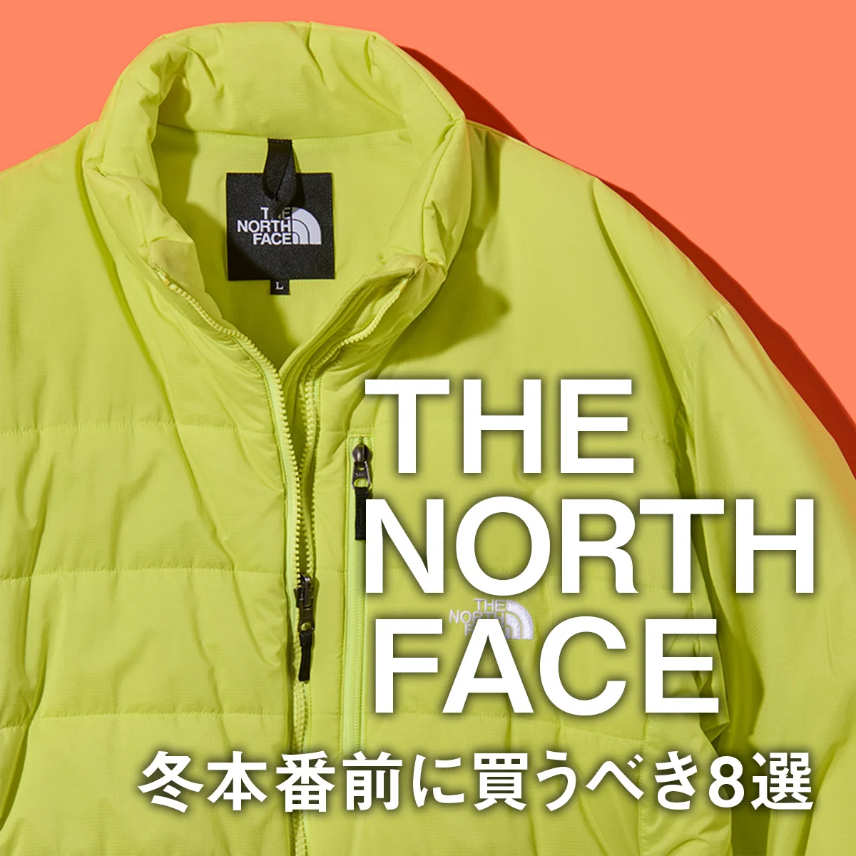 【ザ・ノース・フェイス】暖かさとおしゃれを両立するダウン、ゴアテックス、フリース... 冬本番前に大人が買うべき8選【THE NORTH FACE】