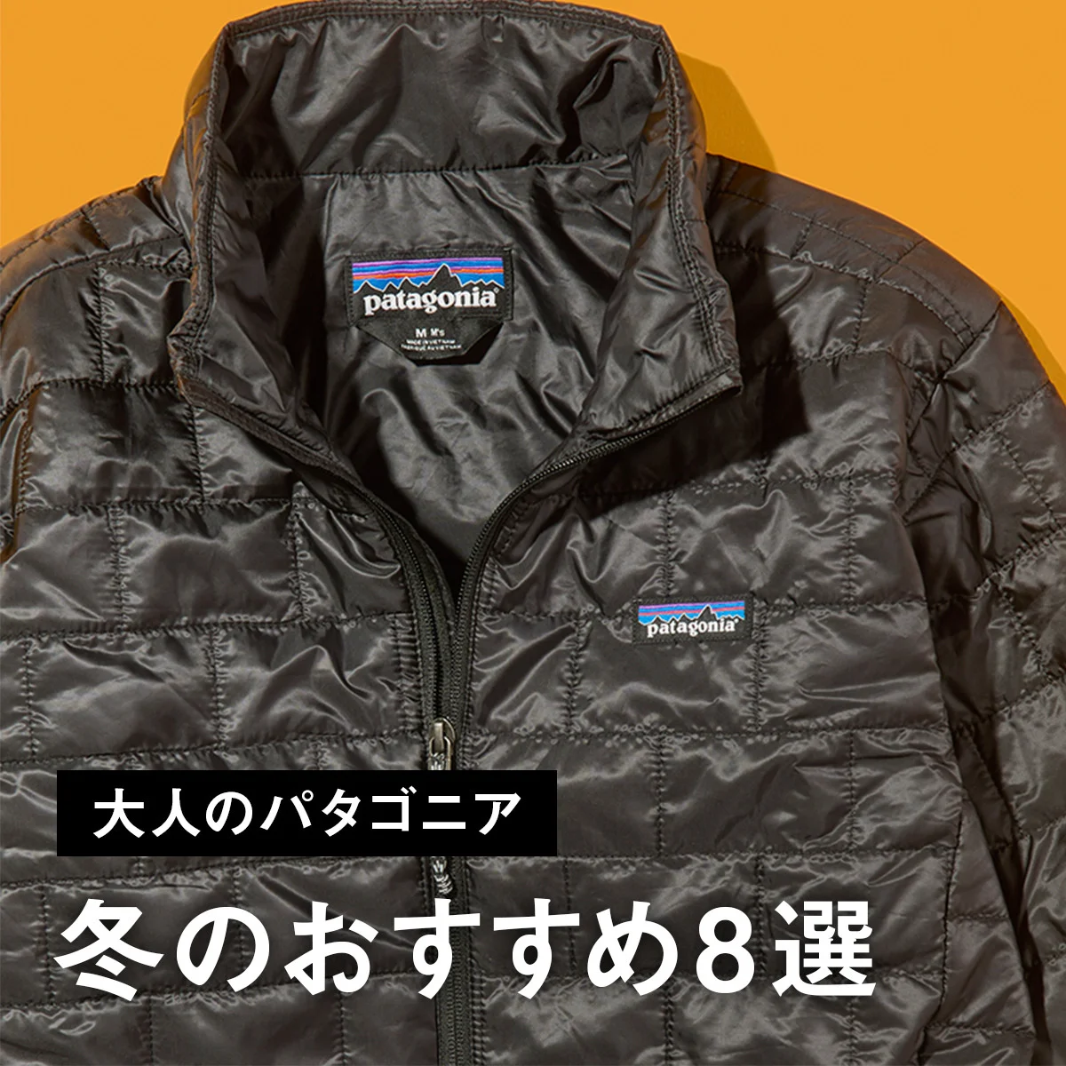 【大人のパタゴニア】冬のおすすめ8選。名品ナノ・パフ・ジャケットに防水シェル、「ブラックホール」の大容量ダッフルバッグも