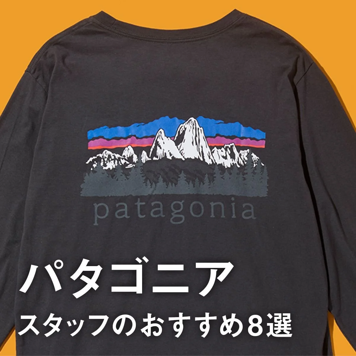 【「パタゴニア」スタッフのおすすめ8選】「バギーズ」「テラヴィア・サコッシュ」「ゴー・トゥ・シャツ」など定番名品の秋冬カラーに注目