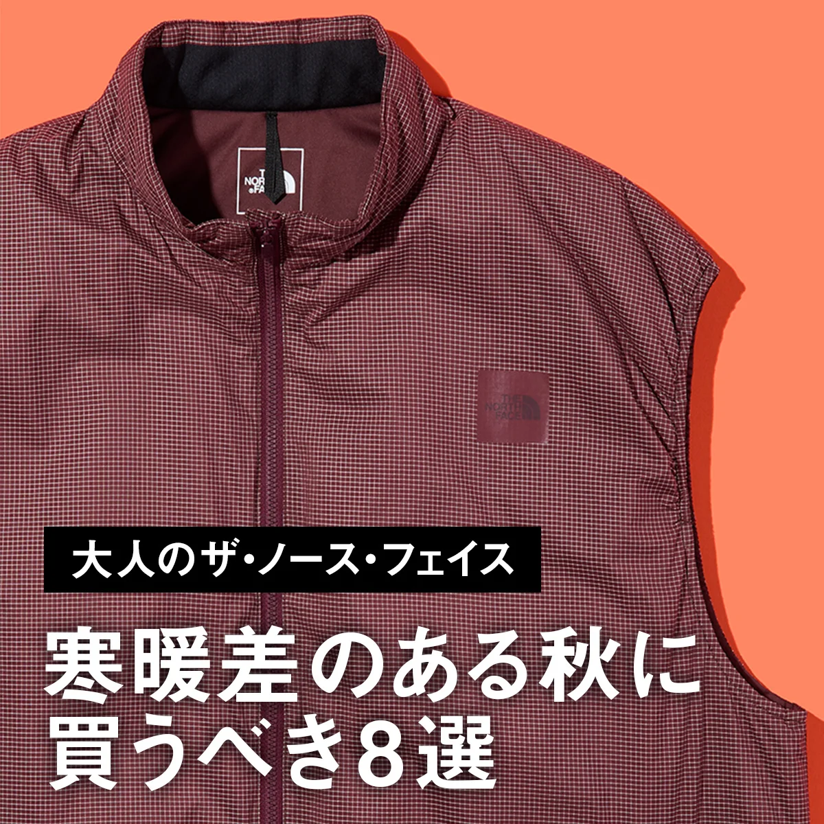 【大人のザ・ノース・フェイス】寒暖差のある秋に買うべき8選。中綿入りベストやマウンパ仕様のカバーオール、復刻リュックも