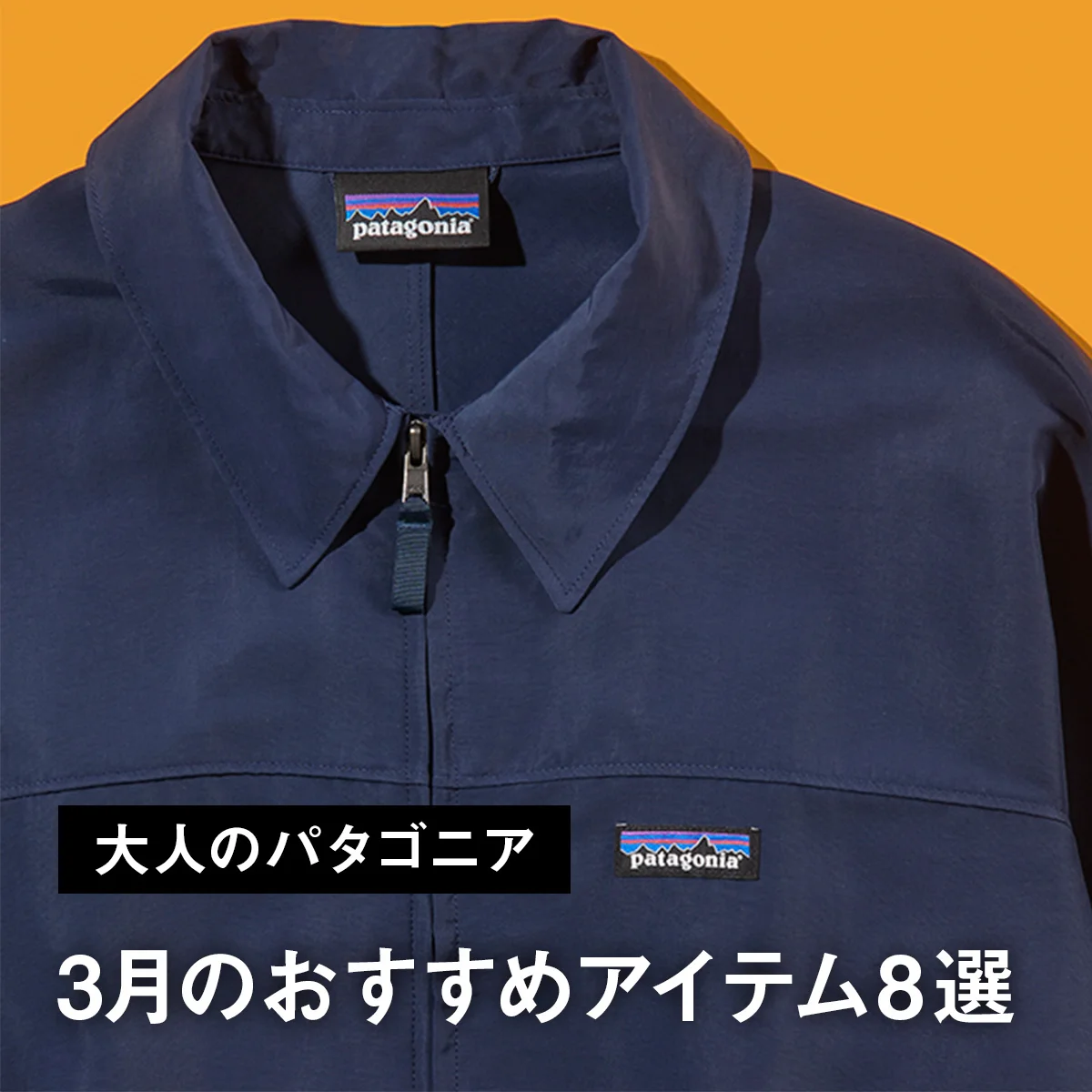 【大人のパタゴニア】天然素材から防水仕様まで充実の春アウターに、人気サコッシュの新作も。3月のおすすめアイテム8選
